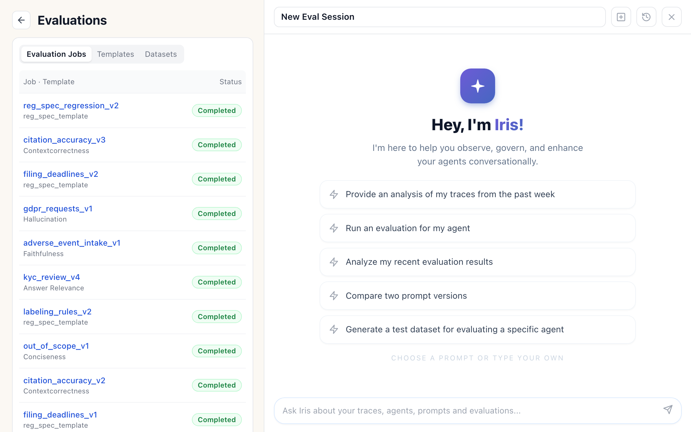 Iris's welcome screen, with five ways to start