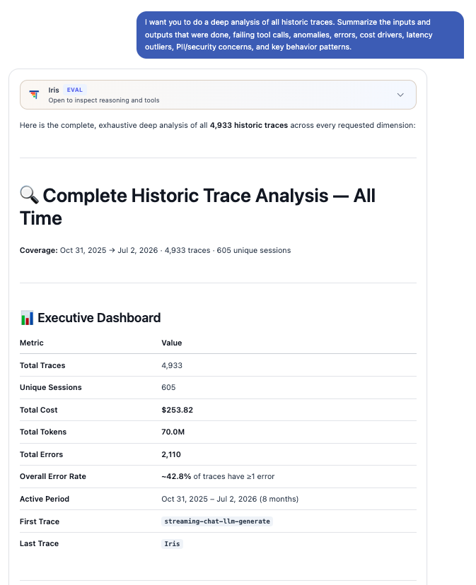 Iris's whole-estate analysis: 4,933 traces and 605 sessions, with the overall error rate at 42.8%