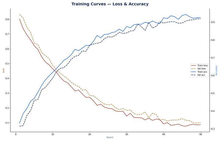 Training loss and accuracy curves